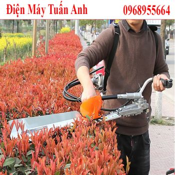 Máy tỉa hàng rào, đốn chè đeo lưng giá rẻ